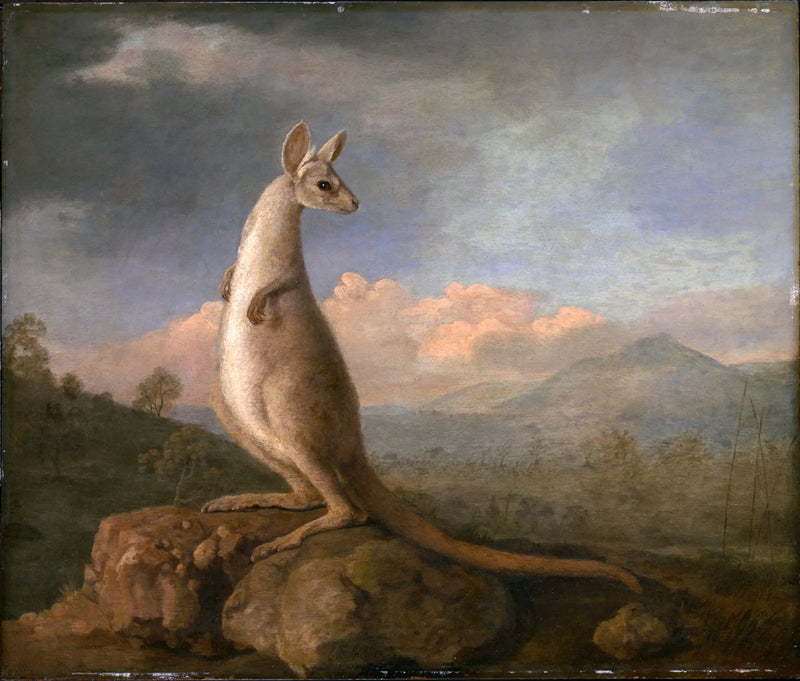 El Kongouro de Nueva Holanda - George Stubbs