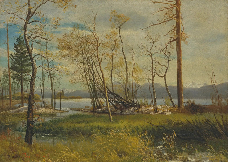El lago Tahoe - Albert Bierstadt