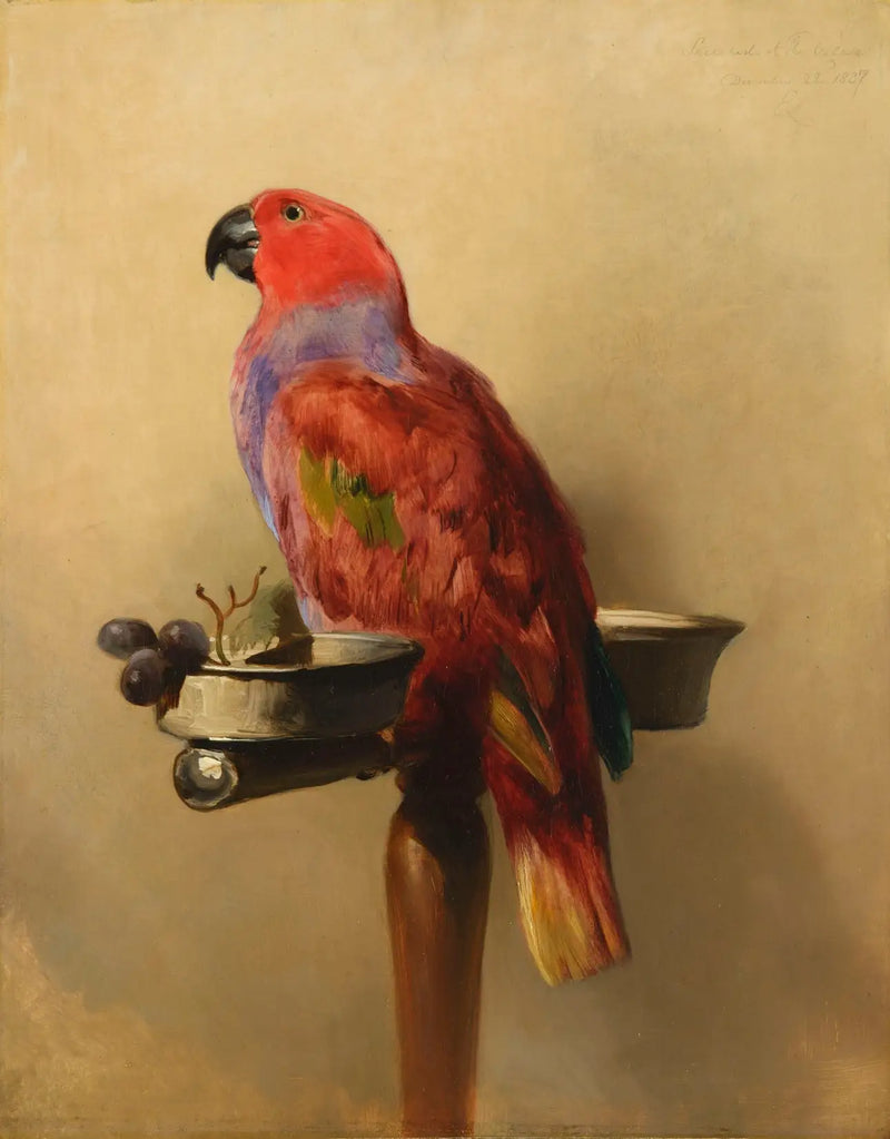 El Lori - Edwin Henry Landseer