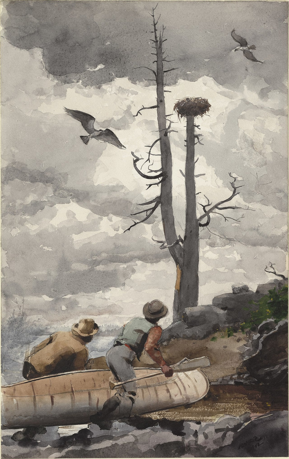 Le Nid d'Aigle - Winslow Homer image 1 reproduction d’œuvre d’art à l’huile