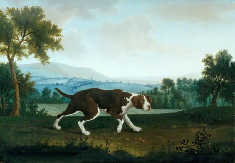 El puntero español - George Stubbs