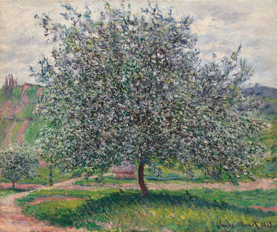 Título traducido no disponible - Claude Monet