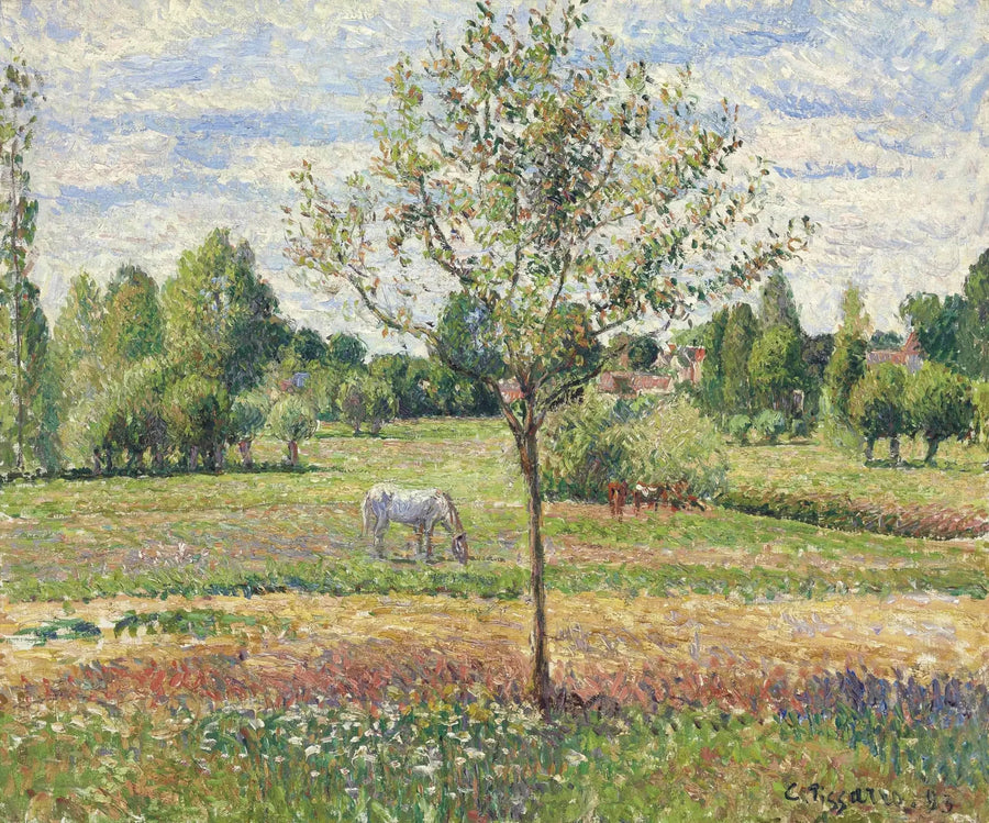 El Prado del Caballo Gris, Éragny - Camille Pissarro
