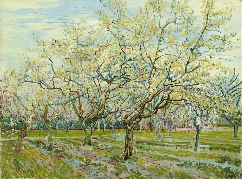 El huerto blanco - Vincent van Gogh