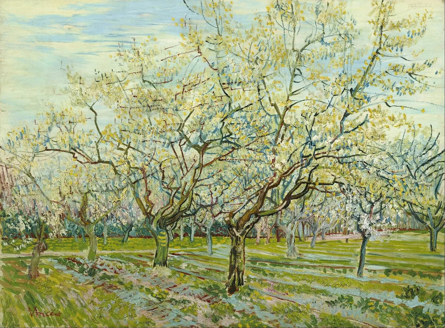 El huerto blanco - Vincent van Gogh