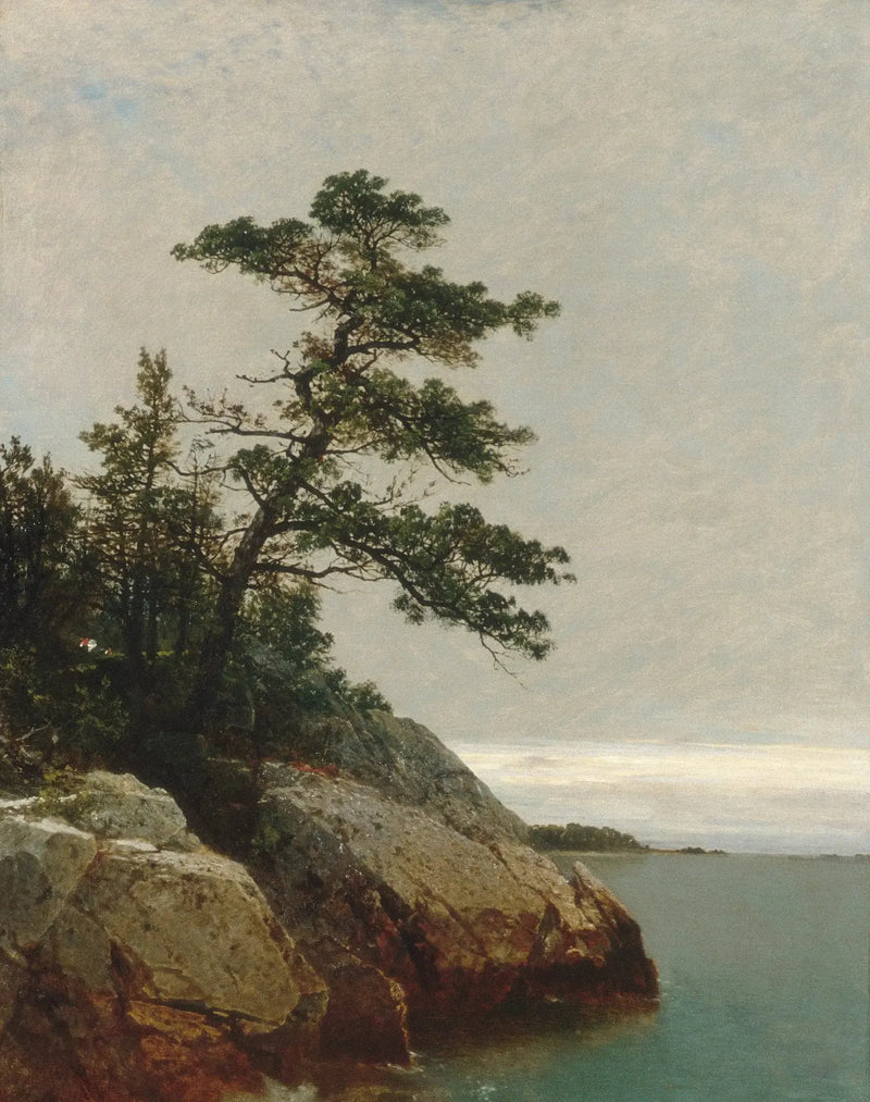 El viejo pino, Darien, Connecticut - John Frederick Kensett