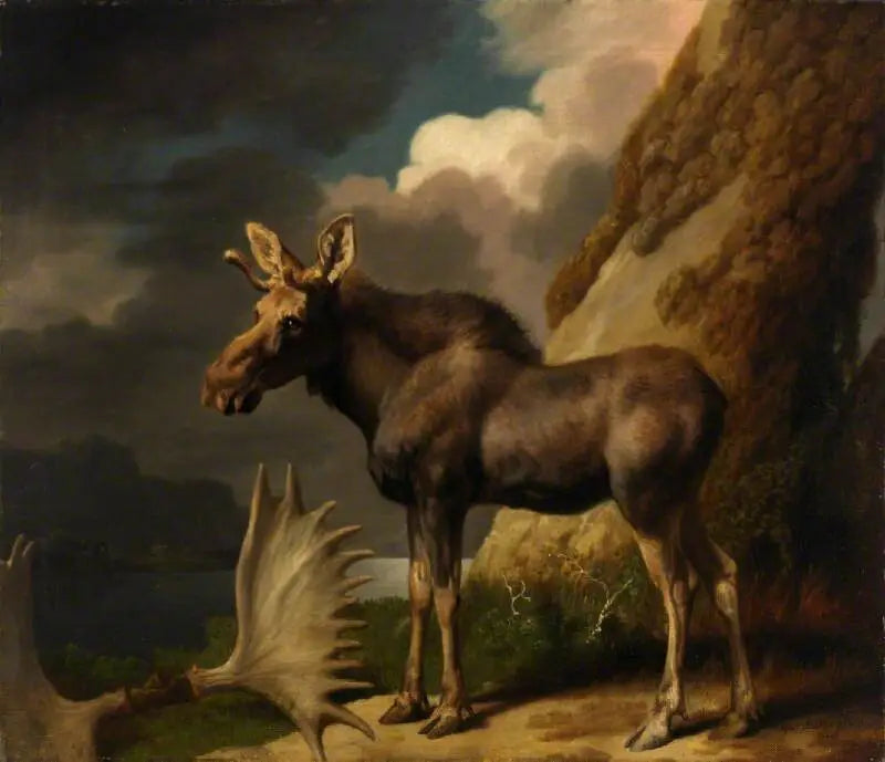 El alce - George Stubbs