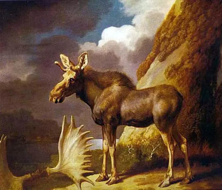 El alce - George Stubbs