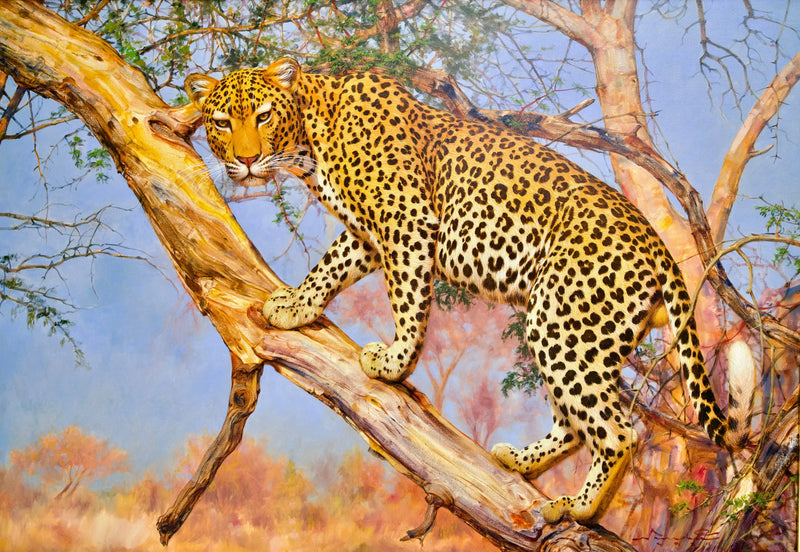 Leopardo en un árbol | 150 x 100 cm