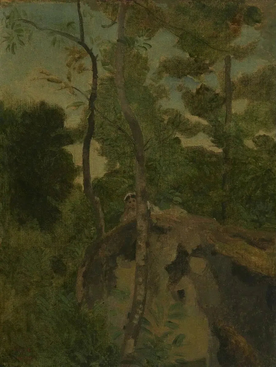 Les Alinges. Joven mujer acostada sobre una roca bajo los árboles - Jean-Baptiste Camille Corot