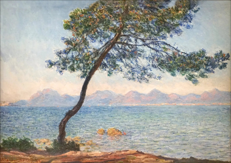Los antibacterianos - Claude Monet