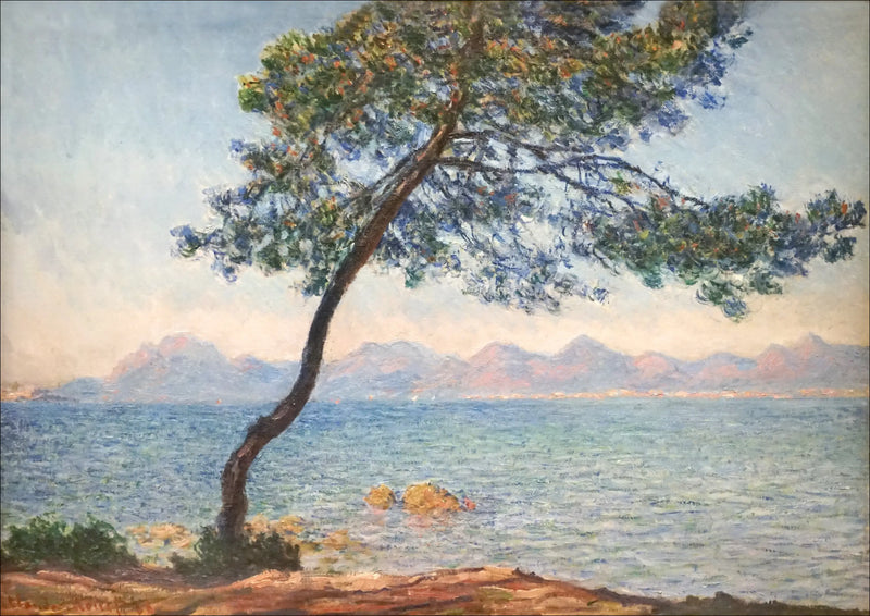 Los antibacterianos - Claude Monet