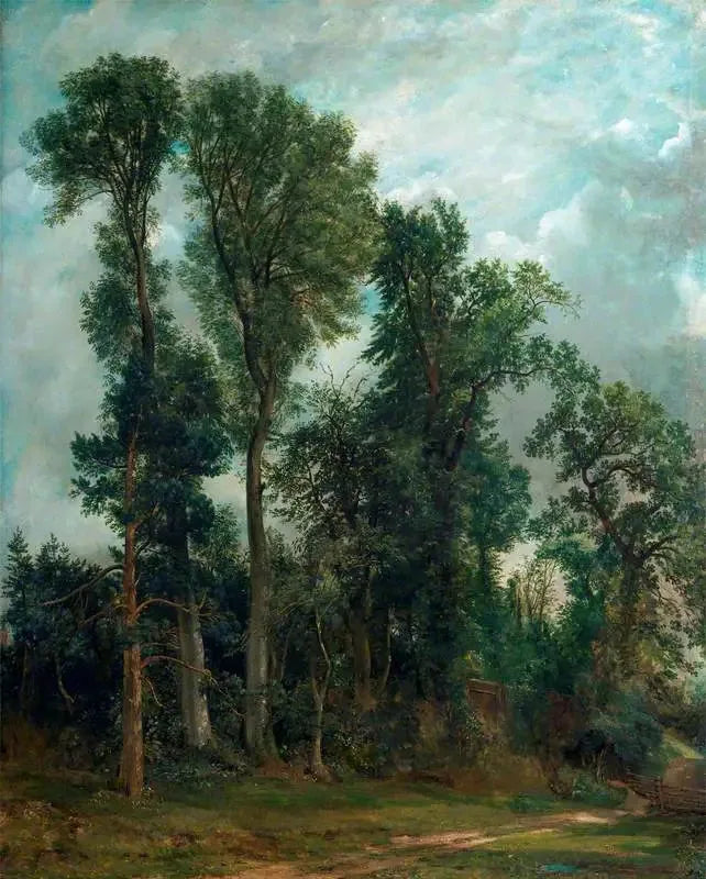 Los árboles de Hampstead: el camino hacia la iglesia - John Constable