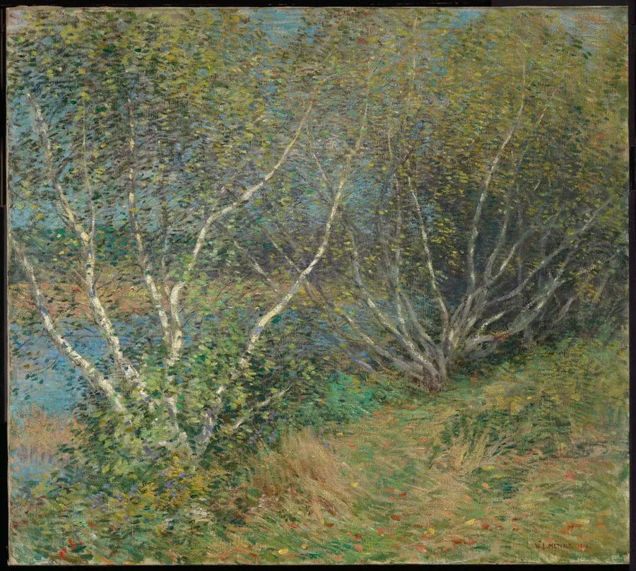 Los abedules - Willard Metcalf