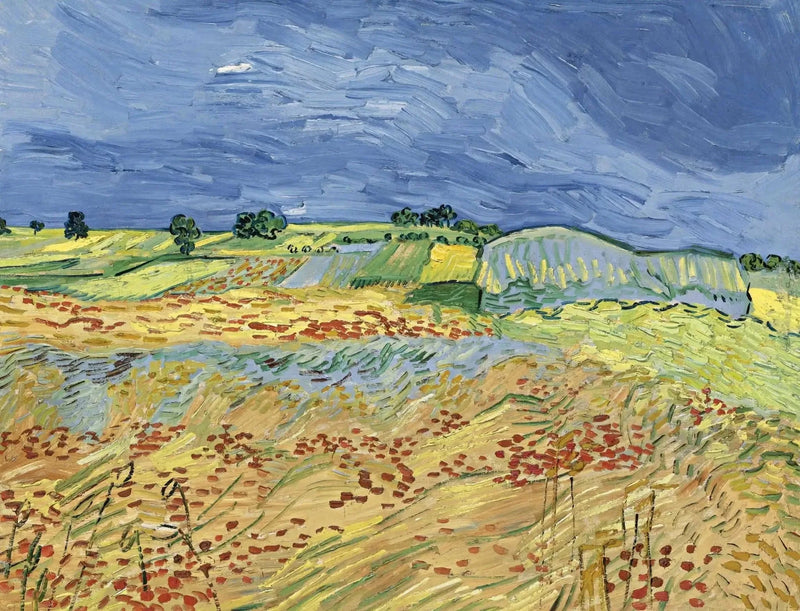 Los campos - Vincent van Gogh