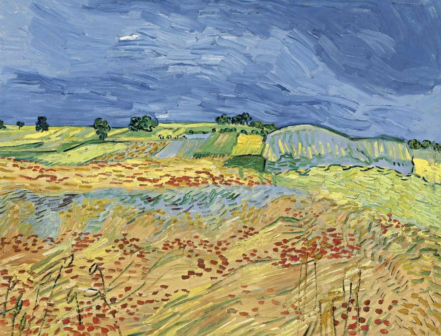 Los campos - Vincent van Gogh