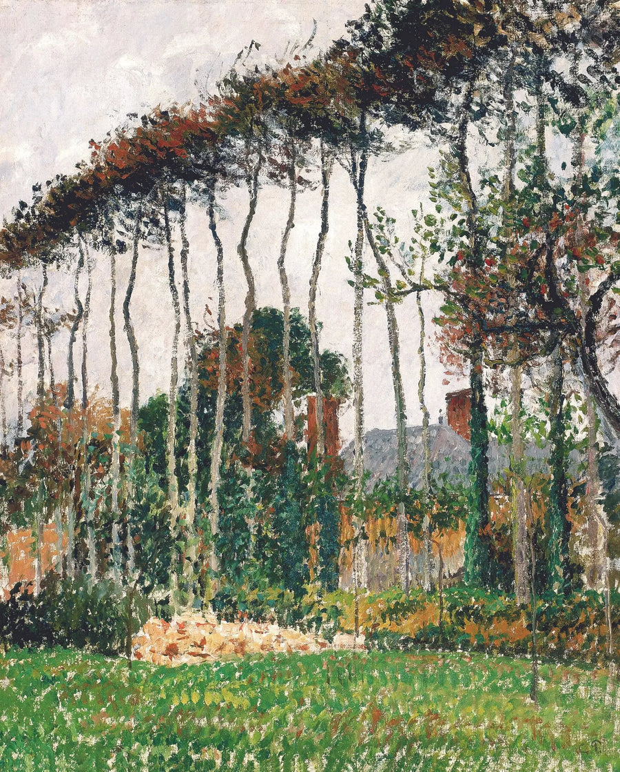 Los grandes hayas en Varengeville - Camille Pissarro