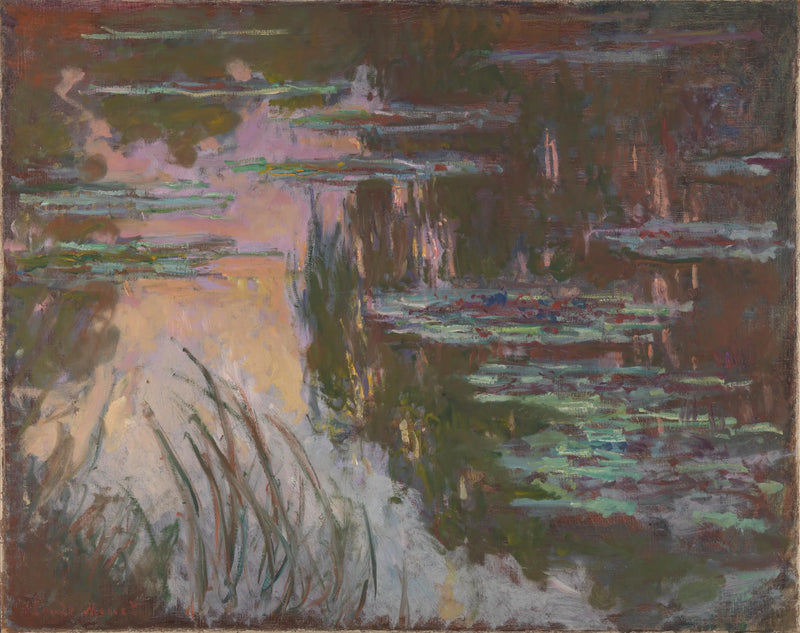 Los lirios de agua, la puesta de sol - Claude Monet