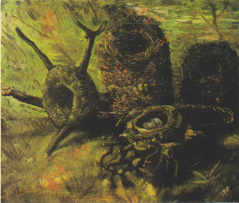 Los nidos de pájaros - Vincent van Gogh
