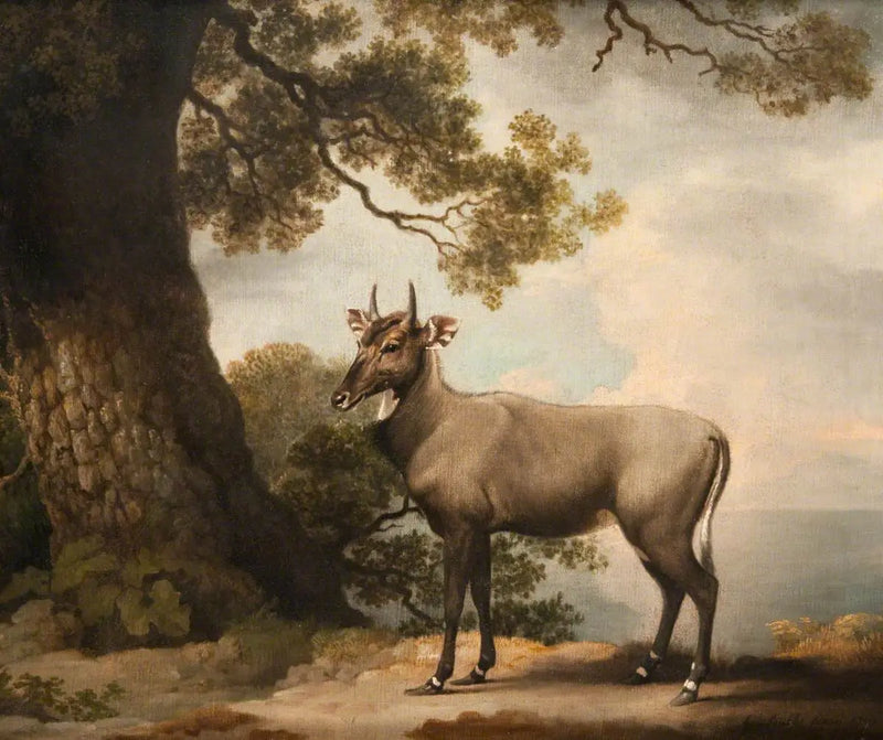 Los Nilgaïs - George Stubbs