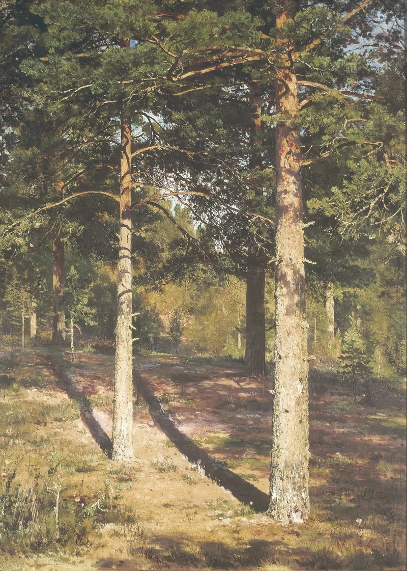 Los pinos soleados - Ivan Chichkine