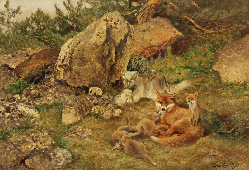 Los cachorros de zorro están jugando - Bruno Liljefors