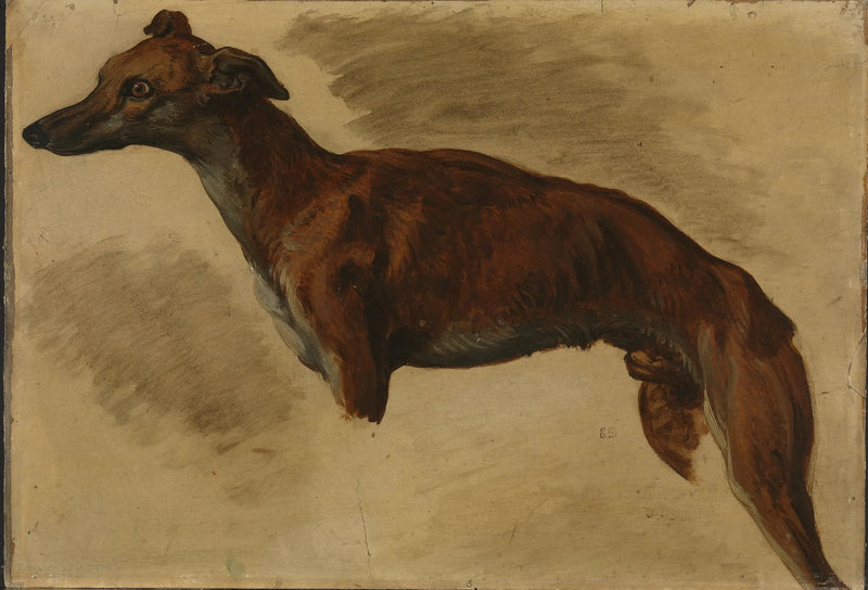 Lebrel - Eugène Delacroix