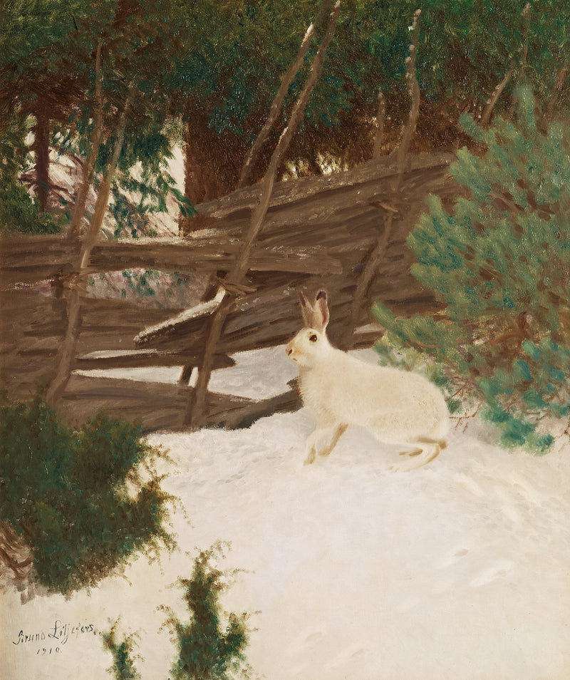 Liebre de invierno - Bruno Liljefors