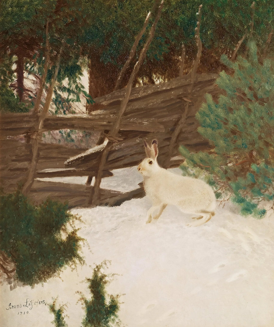 Liebre de invierno - Bruno Liljefors