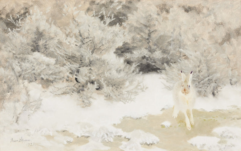 Liebre de invierno - Bruno Liljefors