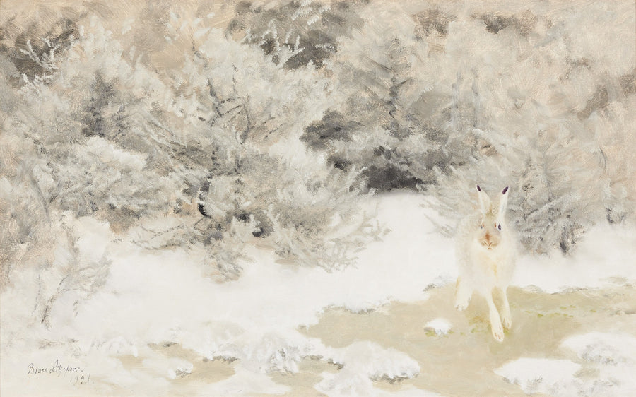 Liebre de invierno - Bruno Liljefors