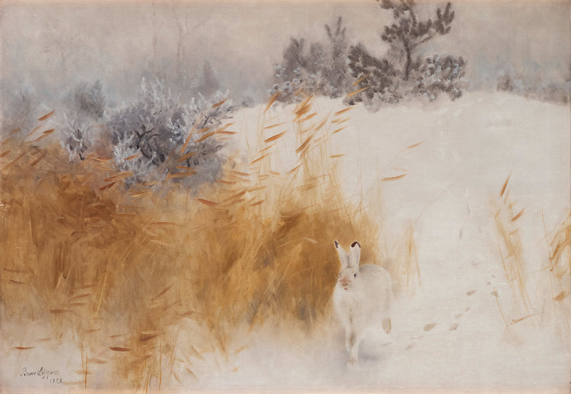 Liebre de invierno - Bruno Liljefors