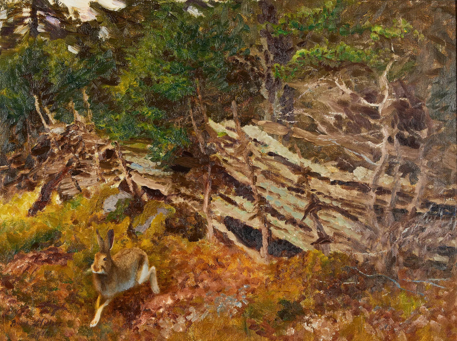 Liebre en un paisaje forestal - Bruno Liljefors
