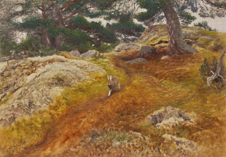 Liebre en un paisaje forestal - Bruno Liljefors