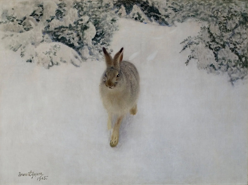 Liebre en invierno - Bruno Liljefors