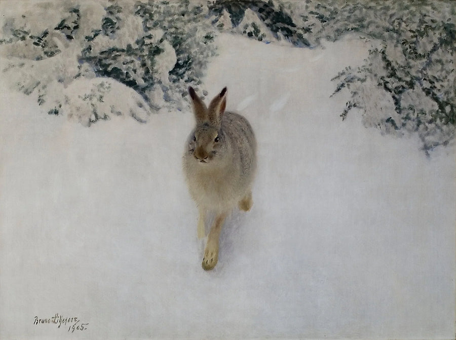 Liebre en invierno - Bruno Liljefors