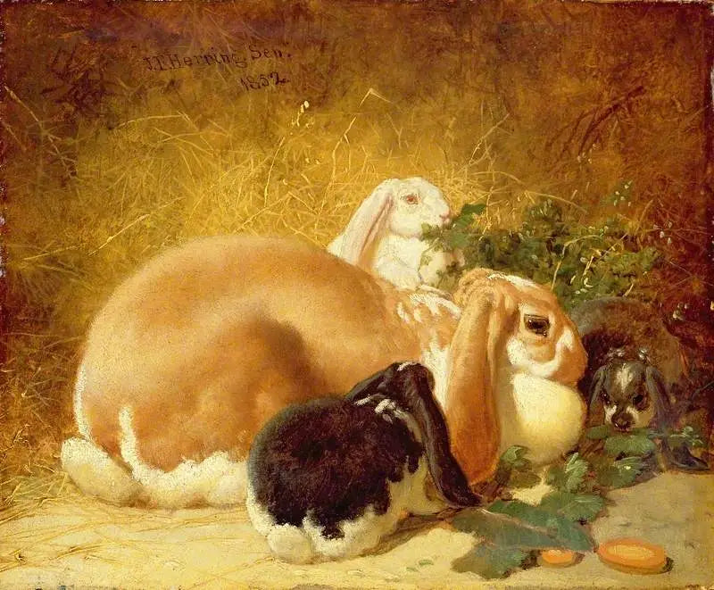 Liebre belga - John Frederick Herring, Sr.