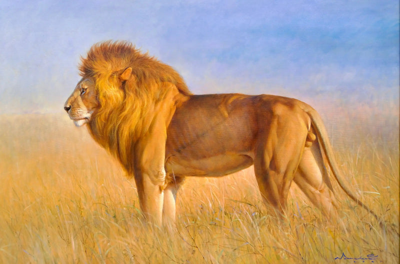 León en la sabana | 150 x 100 cm