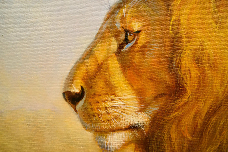 León en la sabana | 150 x 100 cm