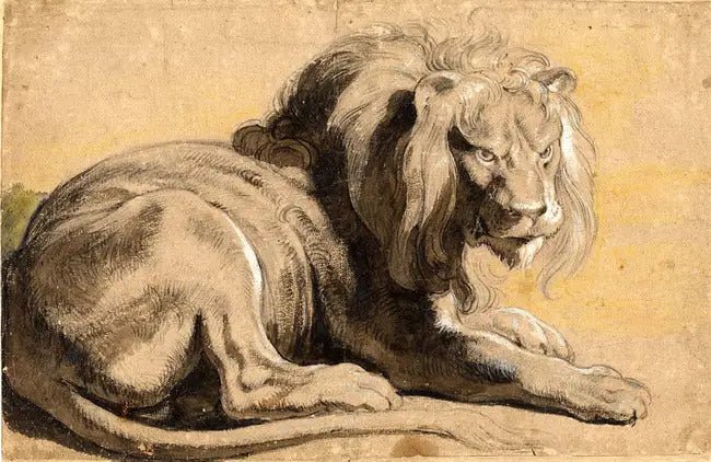 León - Peter Paul Rubens