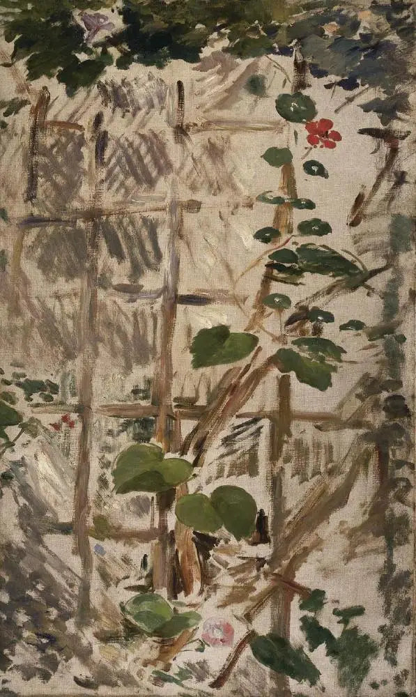 Liserones y Capuchinas - Édouard Manet