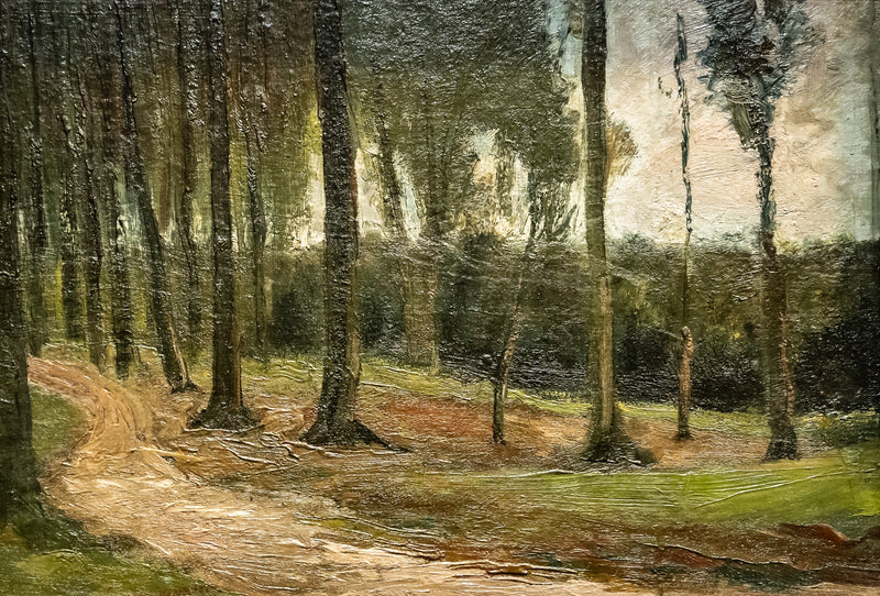 orilla de un bosque - Vincent van Gogh