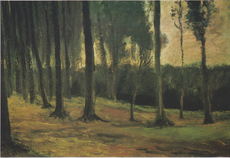 orilla de un bosque - Vincent van Gogh