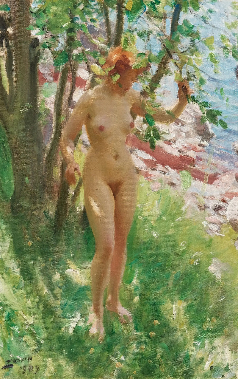 La Sombra - Anders Zorn