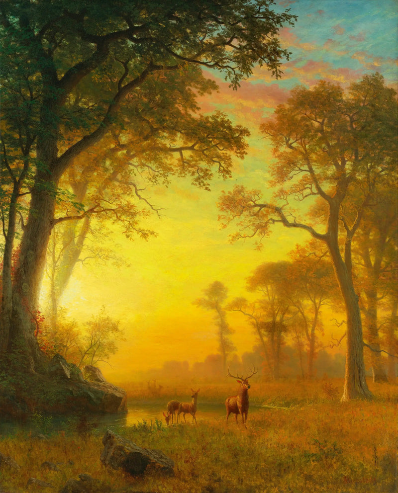 Luz en el bosque - Albert Bierstadt