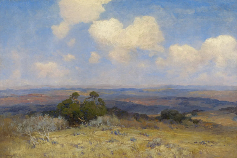 Luz del sol y sombra - Julian Onderdonk