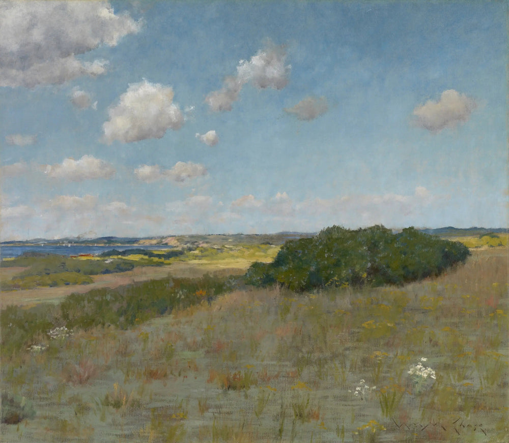 Lumière du soleil et ombre, Shinnecock Hills - William Merritt Chase image 1 copie de tableau peinte à la main