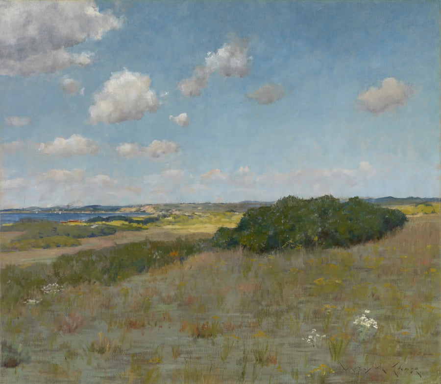 Luz del sol y sombra, Shinnecock Hills - William Merritt Chase