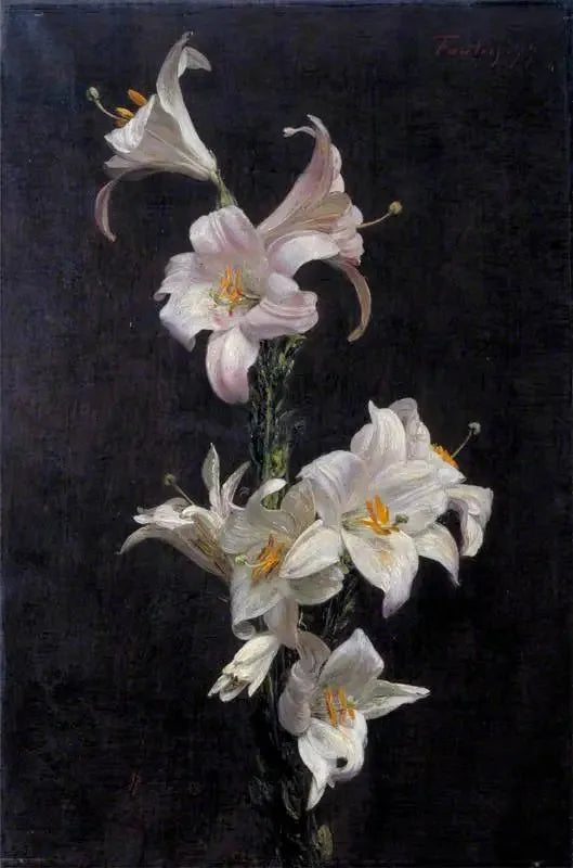 Blancos de lirios - Henri Fantin-Latour