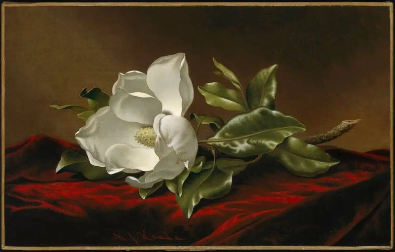 Magnolia grandiflora - Martin Johnson Heade